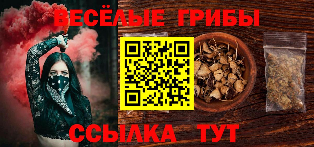 Кашира  Галлюциногенные грибы MAGIC MUSHROOMS  Вход с VPN 